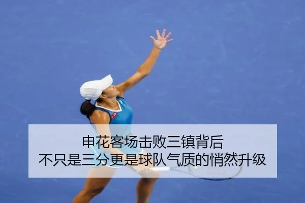 申花客场击败三镇背后 不只是三分更是球队气质的悄然升级 - xingkongsports